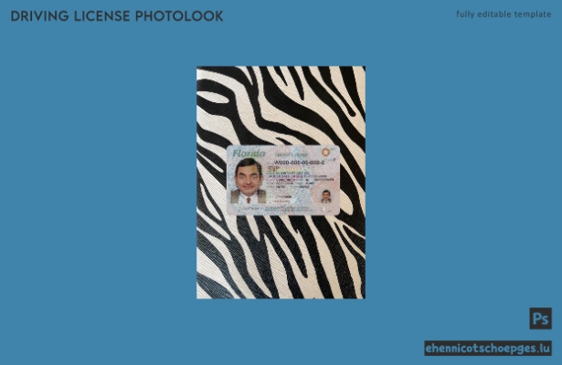 USA Florida Führerschein Fotoansicht 2018-heute